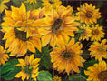 Load image into Gallery viewer, Sunflowers By Nadine Warner - Landscape
