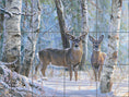Load image into Gallery viewer, Winter's Beauty By Abraham Hunter - Landscape