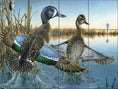Load image into Gallery viewer, Bluewing Takeoff By Abraham Hunter - Landscape