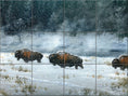 Load image into Gallery viewer, Firehole River Blizzard By Abraham Hunter - Landscape