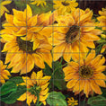 Load image into Gallery viewer, Sunflowers By Nadine Warner - Square