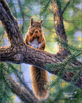 Load image into Gallery viewer, Lunch Break By Abraham Hunter - Portrait