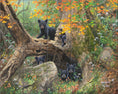 Load image into Gallery viewer, Recess By Abraham Hunter - Landscape
