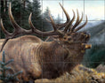 Load image into Gallery viewer, Mountain Melody By Abraham Hunter - Landscape