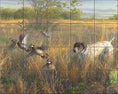 Load image into Gallery viewer, Cactus Covey By The Hautman Brothers - Landscape