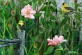 Load image into Gallery viewer, Two Birds By Nadine Warner - Landscape