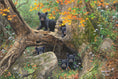 Load image into Gallery viewer, Recess By Abraham Hunter - Landscape