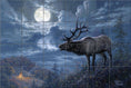 Load image into Gallery viewer, Native Song by Abraham Hunter - Landscape