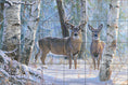 Load image into Gallery viewer, Winter's Beauty By Abraham Hunter - Landscape