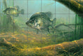 Load image into Gallery viewer, Elusive By Abraham Hunter - Landscape