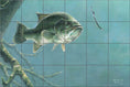 Load image into Gallery viewer, Suspense By Abraham Hunter - Landscape