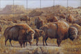 Load image into Gallery viewer, Buffalo Herd By The Hautman Brothers - Landscape