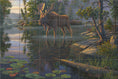 Load image into Gallery viewer, King Of The North By Kim Norlien - Landscape