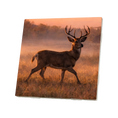 Load image into Gallery viewer, Farm Wildlife Coasters