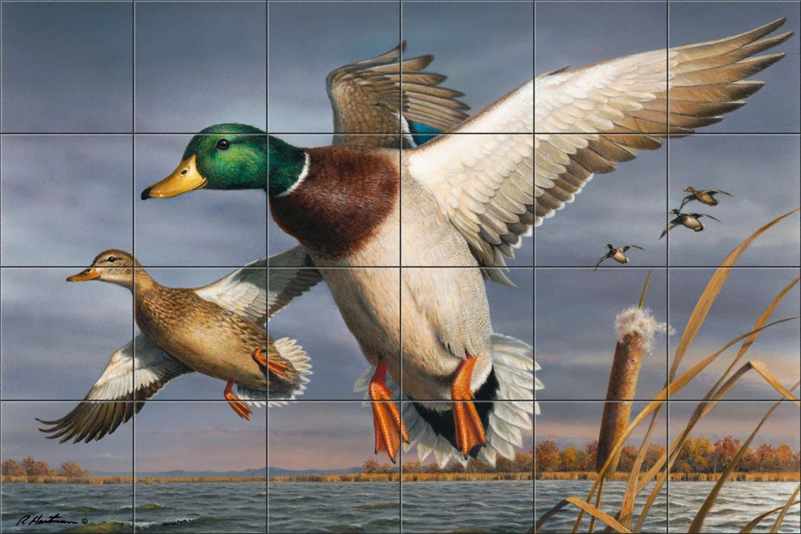2018 Federal-Mallards by The Hautman Brothers - Landscape