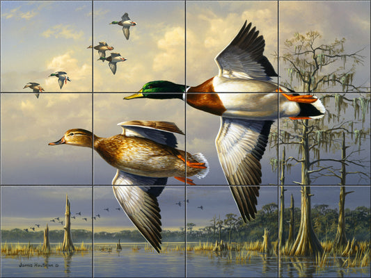 Cypress Swamp Mallard By The Hautman Brothers - Landscape