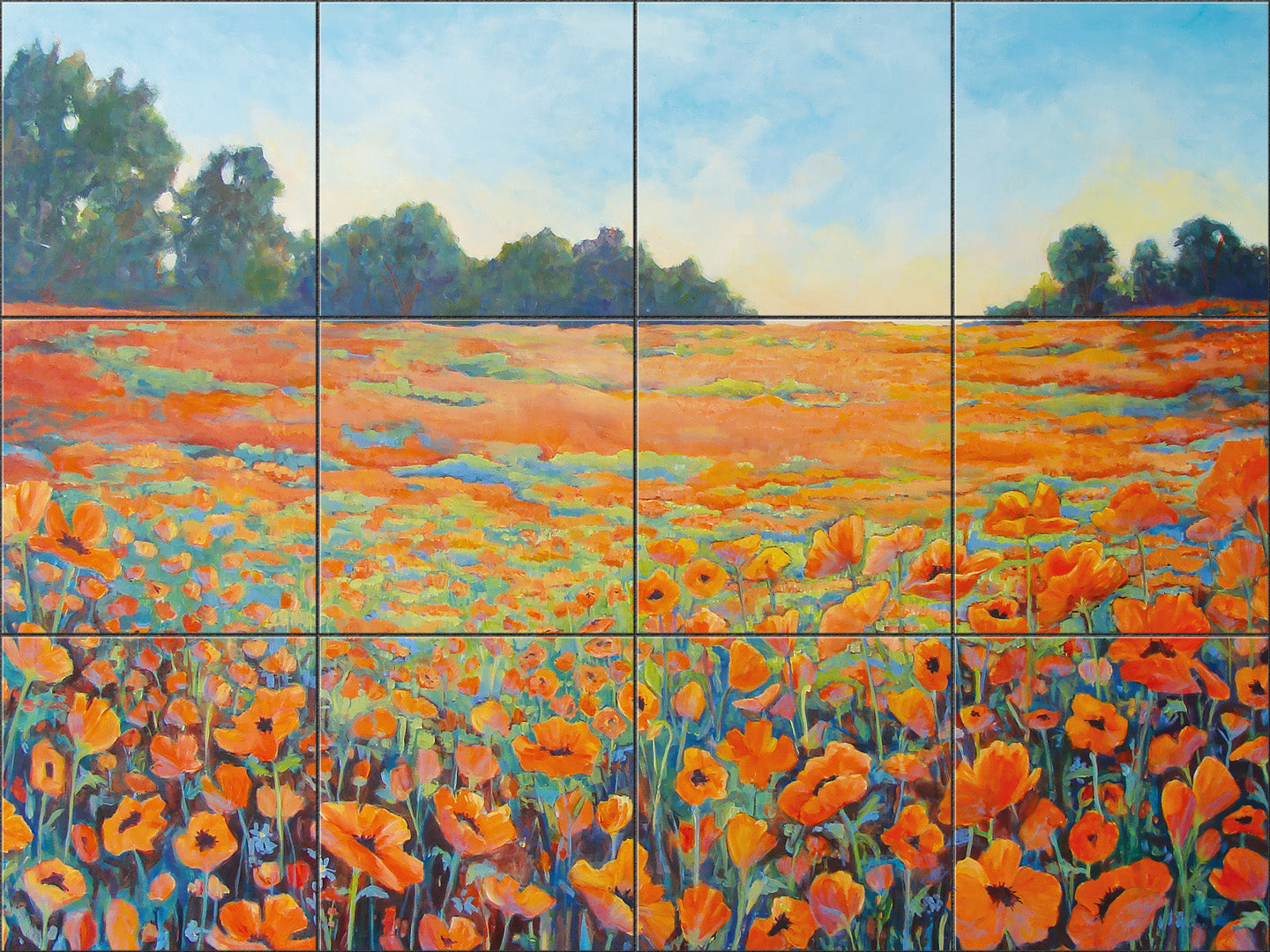 David's Poppies by Susan Schmitt - Landscape