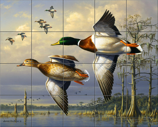 Cypress Swamp Mallard By The Hautman Brothers - Landscape