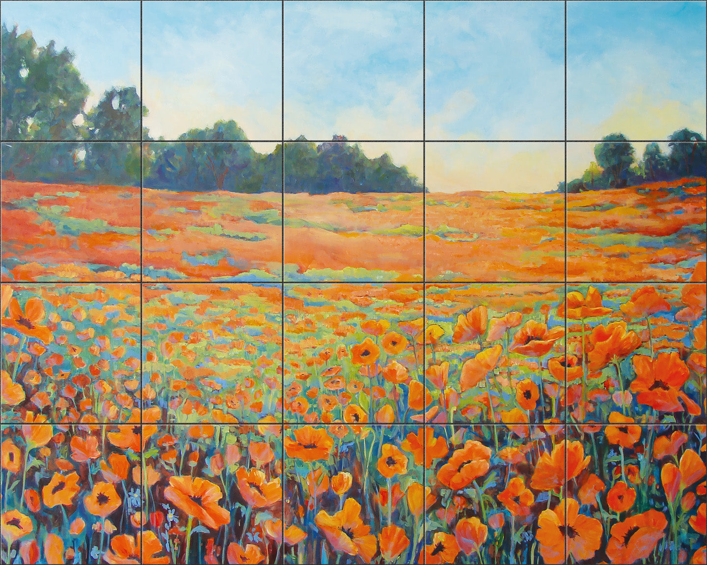 David's Poppies by Susan Schmitt - Landscape