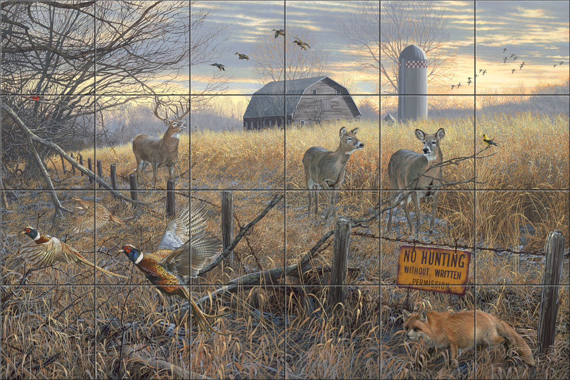 Behind the Barn by Scot Storm - Landscape