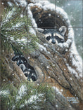 Load image into Gallery viewer, Peekaboo By Abraham Hunter - Landscape
