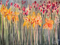 Load image into Gallery viewer, Daffodillian by Deborah Wolfe  - Landscape
