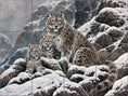 Load image into Gallery viewer, Snow Leopard By Abraham Hunter- Landscape
