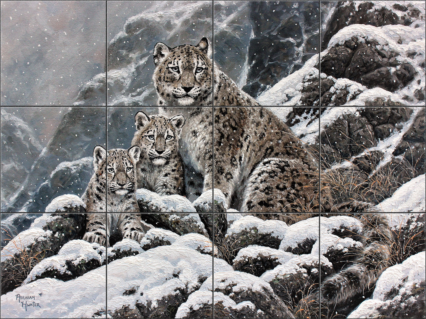 Snow Leopard By Abraham Hunter- Landscape