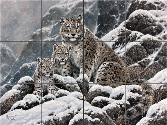 Snow Leopard By Abraham Hunter- Landscape