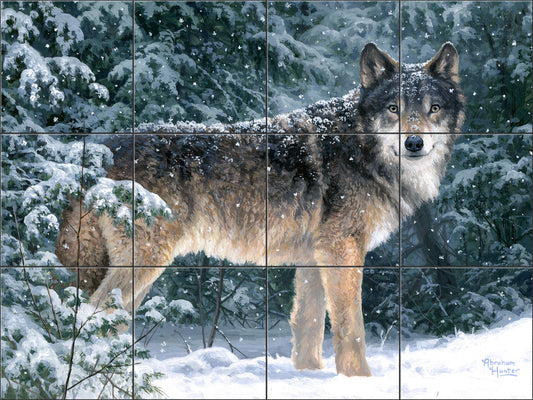 Snowfall By Abraham Hunter - Landscape