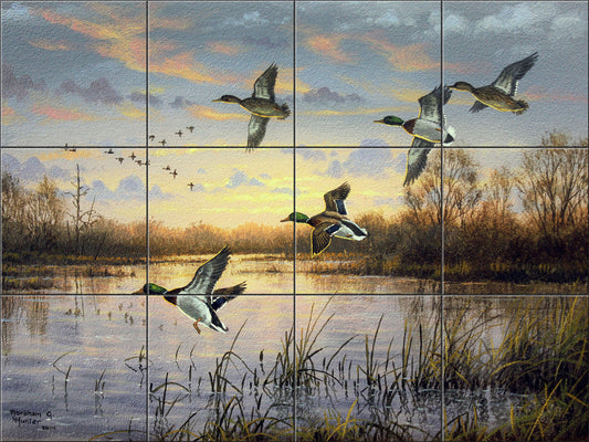 First Light Mallards By Abraham Hunter - Landscape