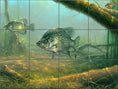 Load image into Gallery viewer, Elusive By Abraham Hunter - Landscape
