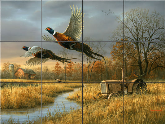 Back Forty Pheasants By The Hautman Brothers - Landscape