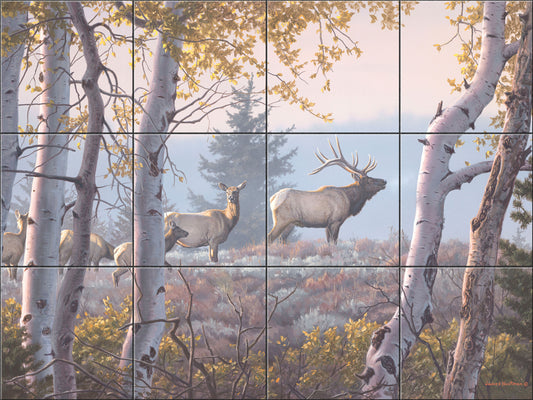 Through The Aspens By The Hautman Brothers  - Landscape