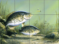Load image into Gallery viewer, Crappies & Jig by The Hautman Brothers  - Landscape
