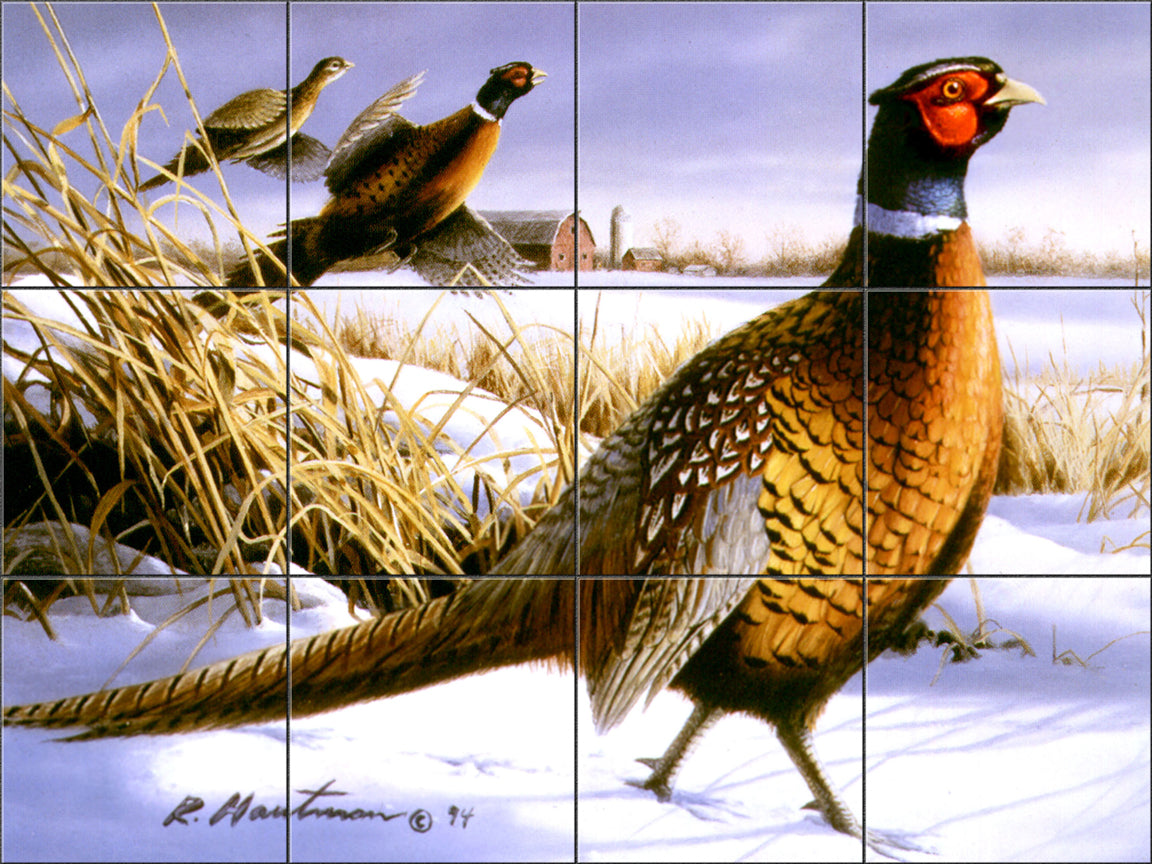 Winter Pheasent By The Hautman Brothers - Landscape