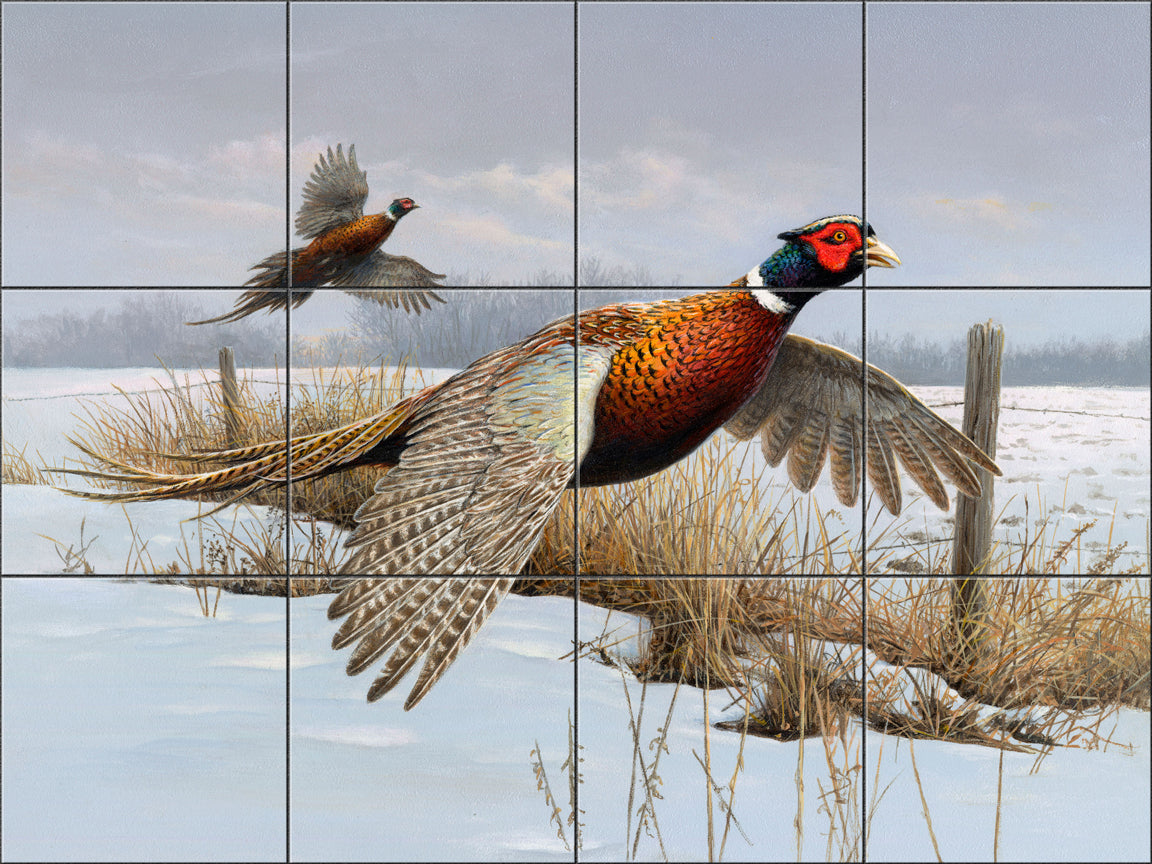 Fencerow Pheasants By The Hautman Brothers - Landscape