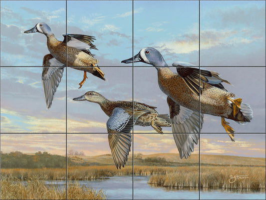 Late Season Blues - Bluewing Teal By Scot Storm - Landscape