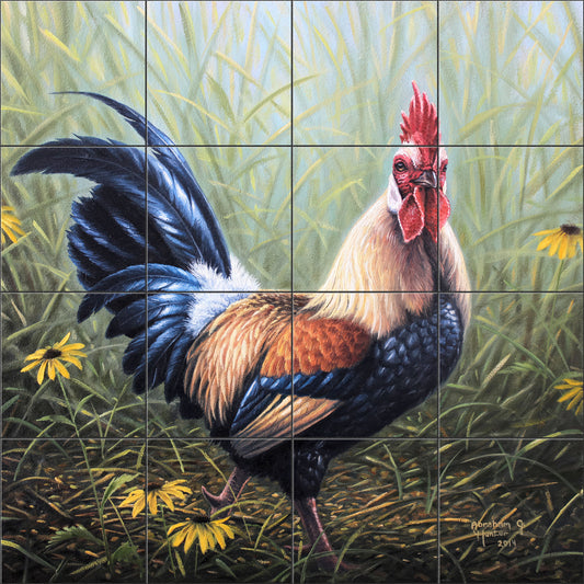 Black and Gold Rooster By Abraham Hunter - Square