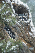 Load image into Gallery viewer, Peekaboo By Abraham Hunter - Landscape
