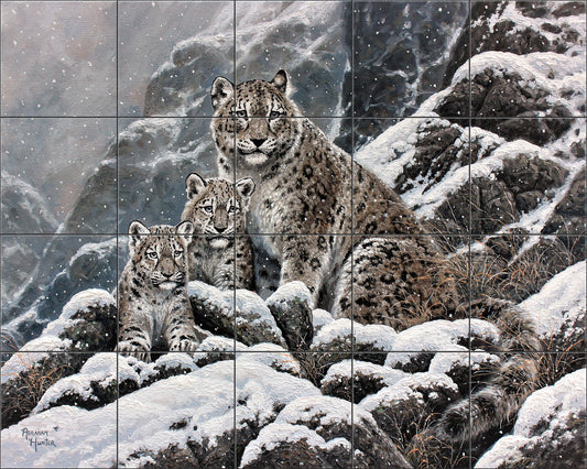 Snow Leopard By Abraham Hunter- Landscape