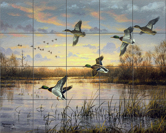 First Light Mallards By Abraham Hunter - Landscape