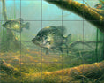 Load image into Gallery viewer, Elusive By Abraham Hunter - Landscape
