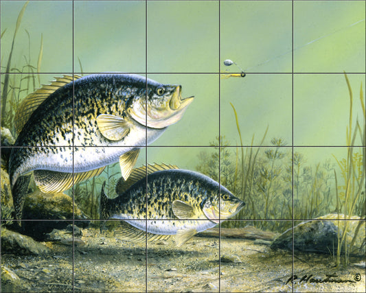 Crappies & Jig by The Hautman Brothers  - Landscape