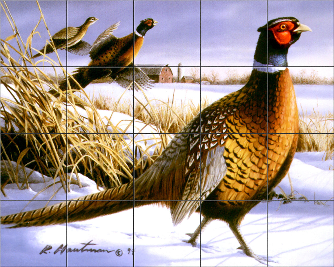 Winter Pheasent By The Hautman Brothers - Landscape