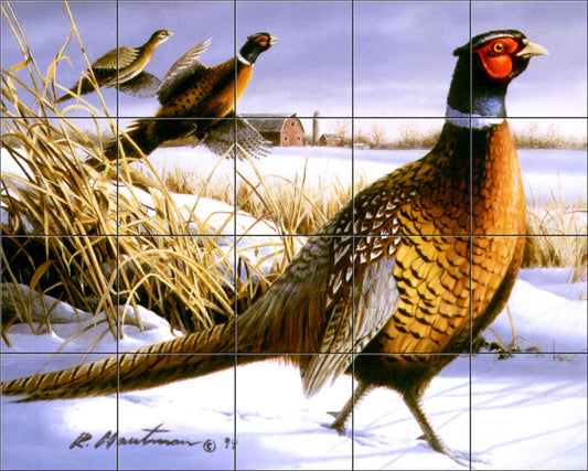 Winter Pheasent By The Hautman Brothers - Landscape