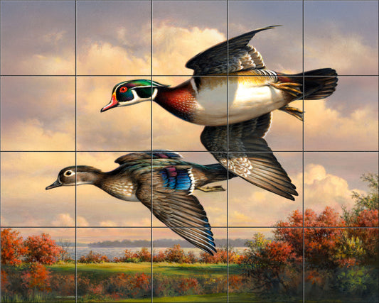 Wood Ducks On The Wing By The Hautman Brothers  - Landscape