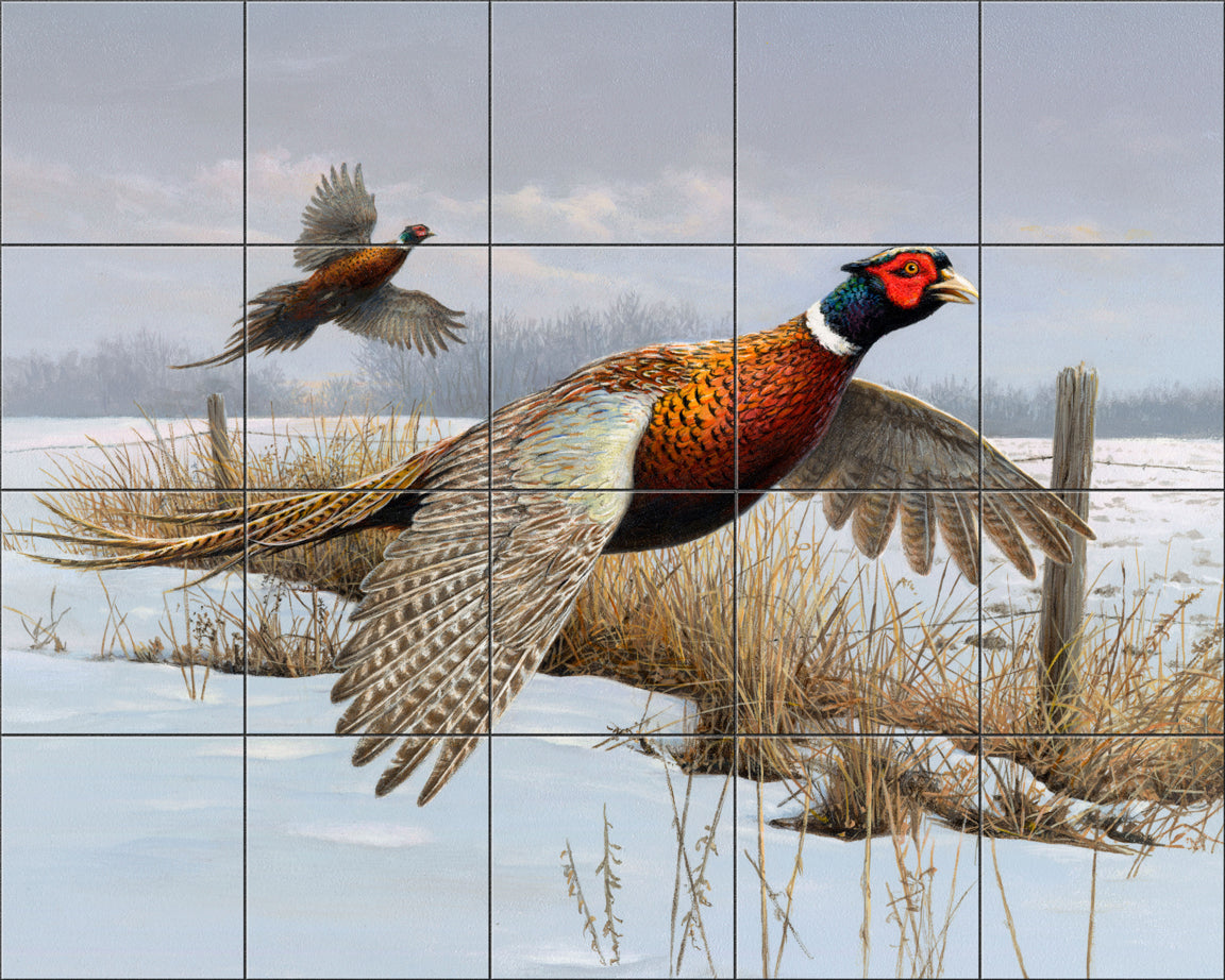 Fencerow Pheasants By The Hautman Brothers - Landscape