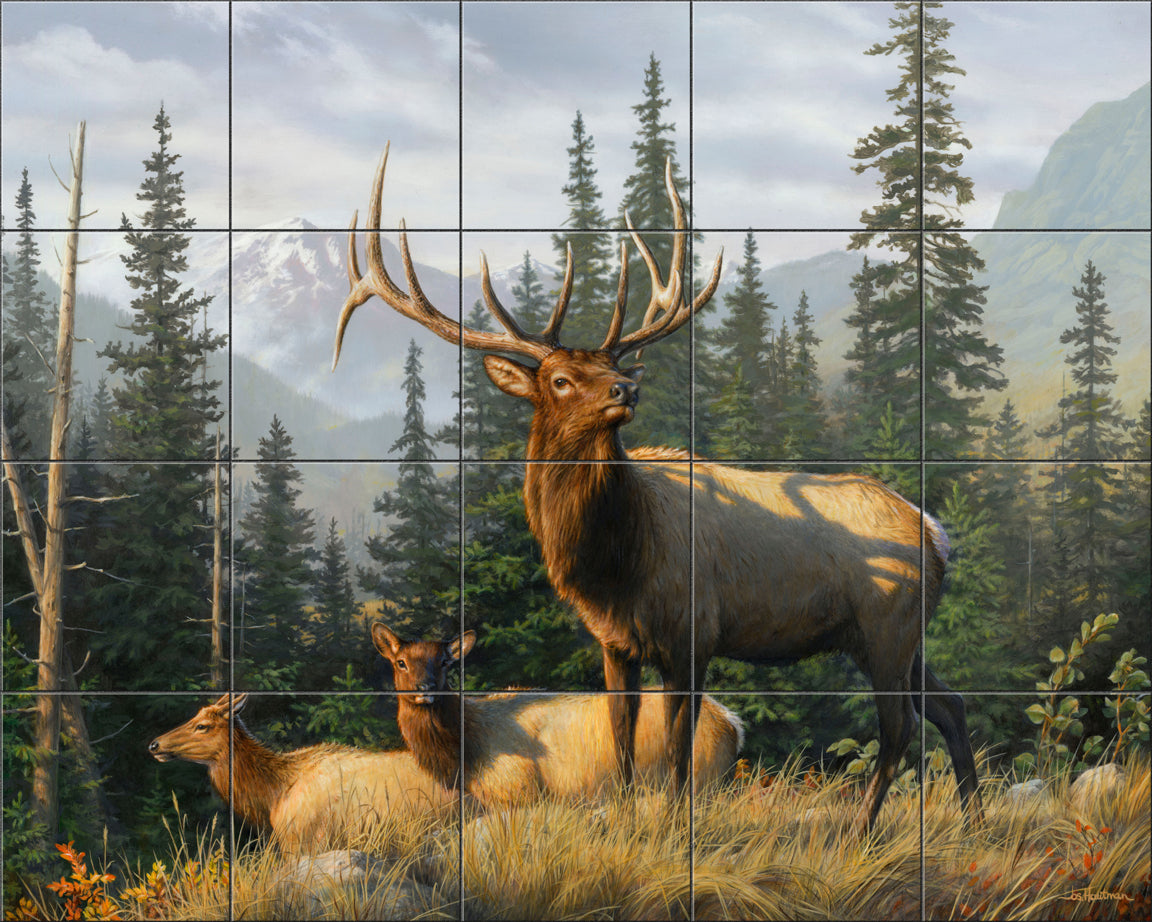 Meadow's Edge Elk By The Hautman Brothers - Landscape
