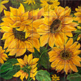 Load image into Gallery viewer, Sunflowers By Nadine Warner - Square
